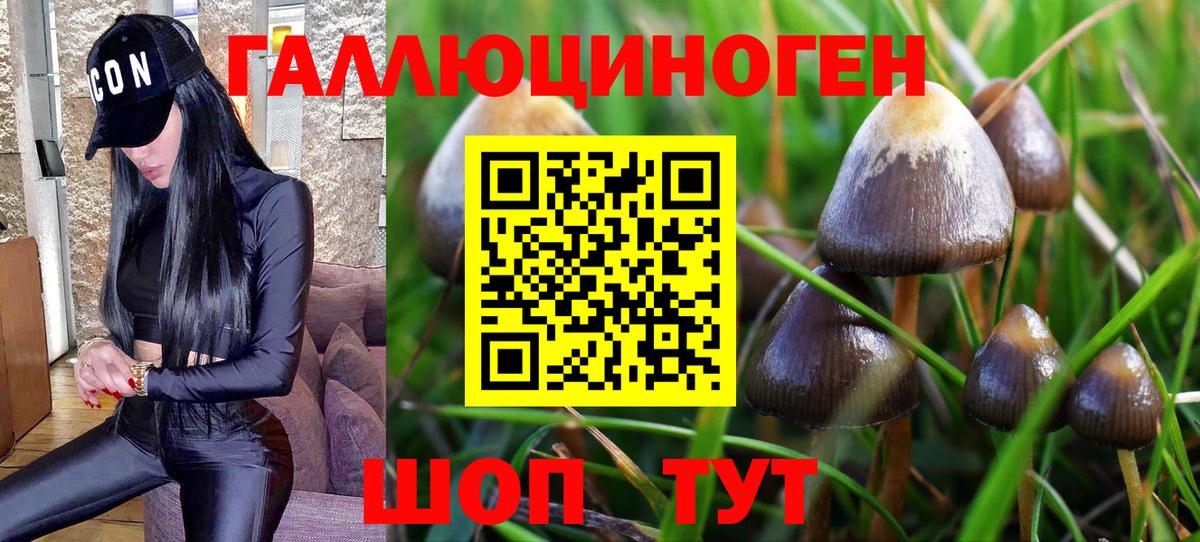 Галлюциногенные грибы мицелий Лобня